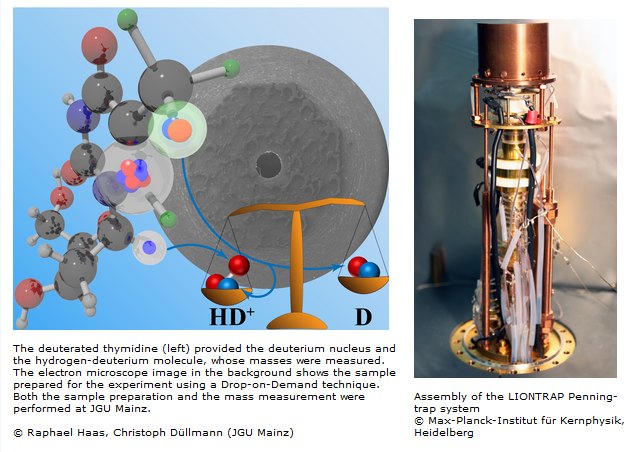 Left: The deuterated thymidine / Right: Assembly of the LIONTRAP Penning-trap system